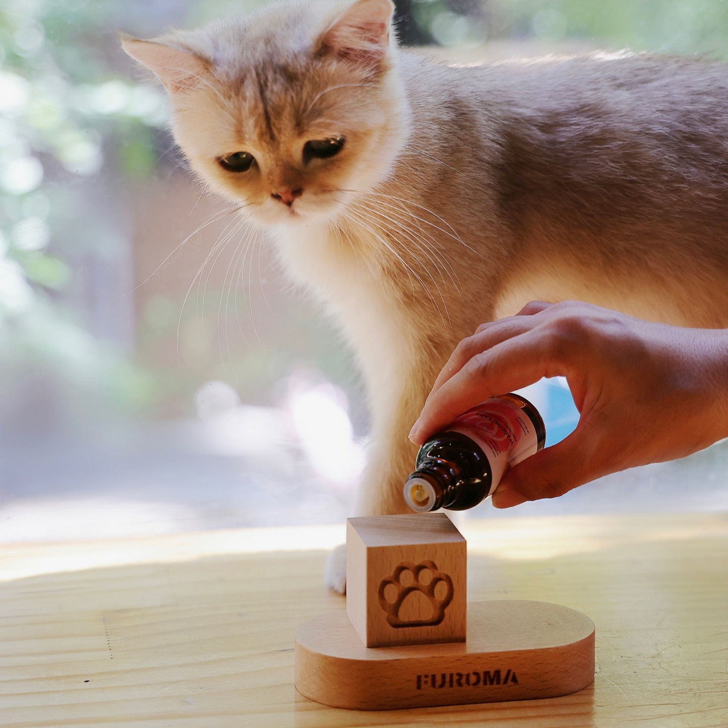 Wood Cube Diffuser & 30ml Oil