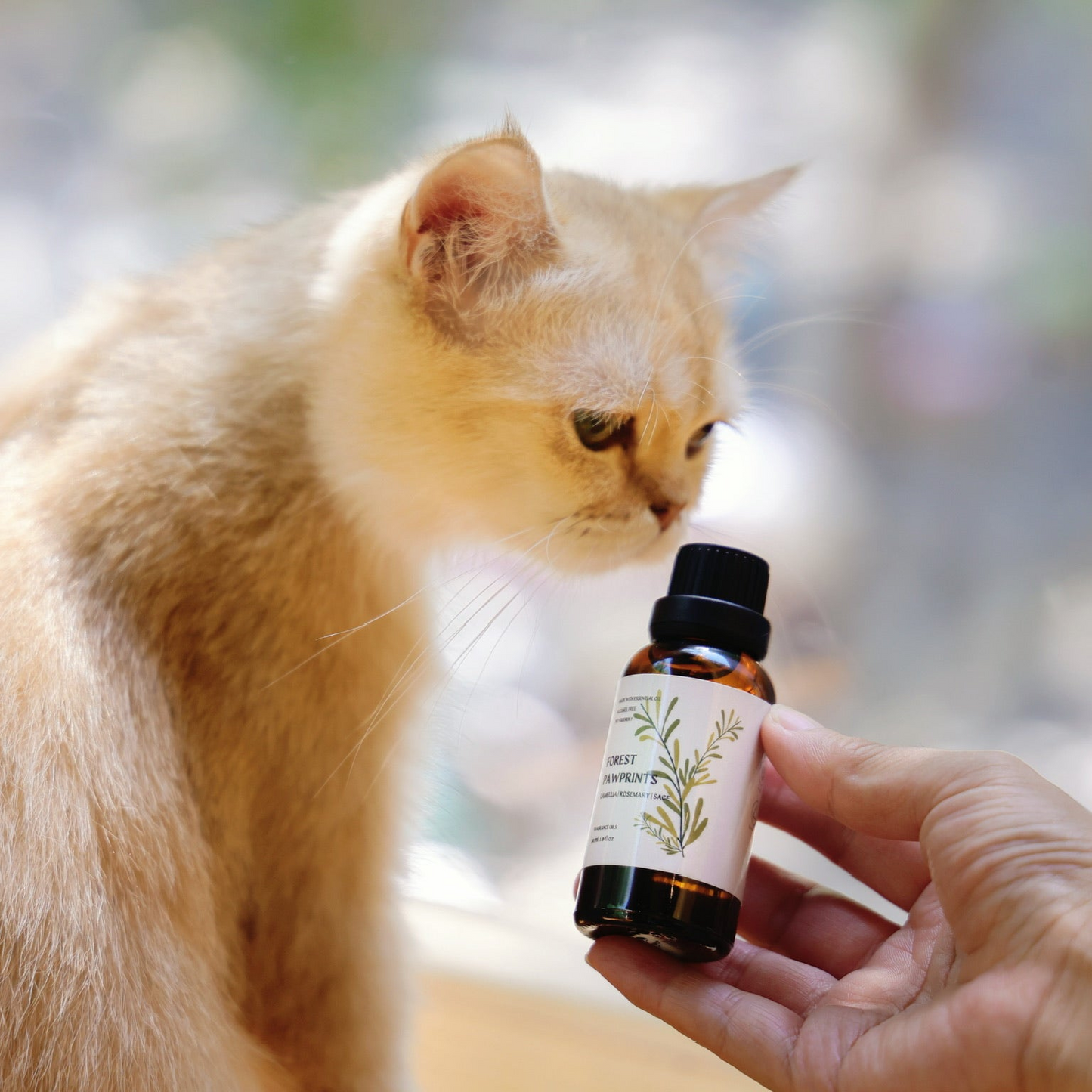 Forest Pawprints Essential Oil – Camellia & Clary Sage