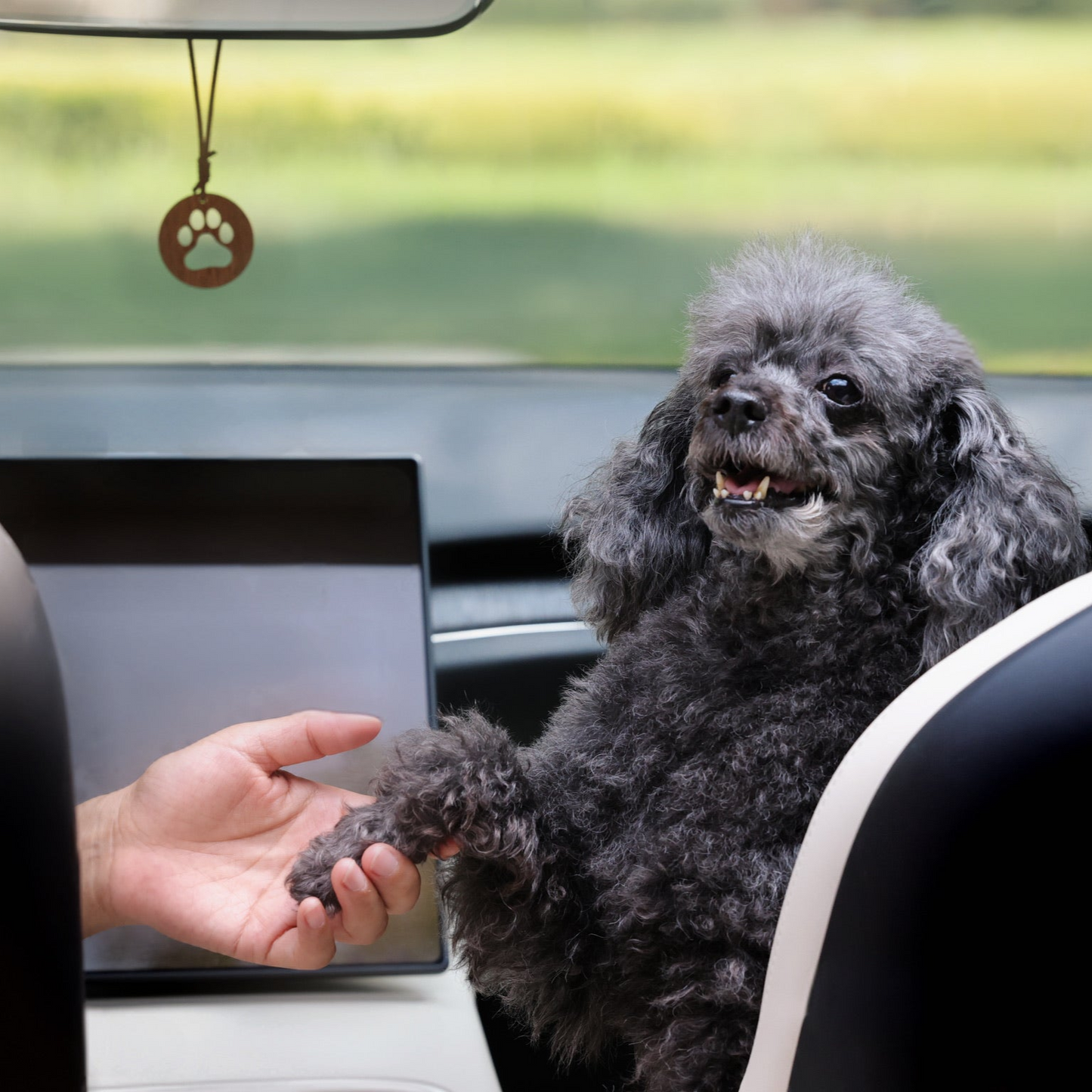 "Dog" Car Wood Diffuser