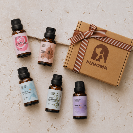 The Essential Oil Scent Library