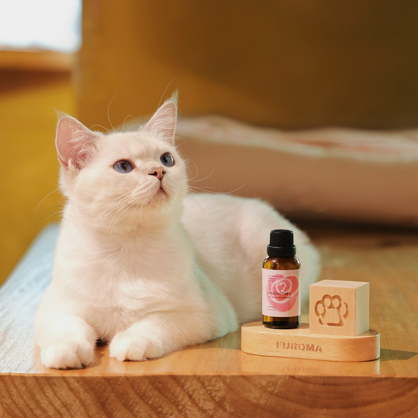 Wood Cube Diffuser & 30ml Oil