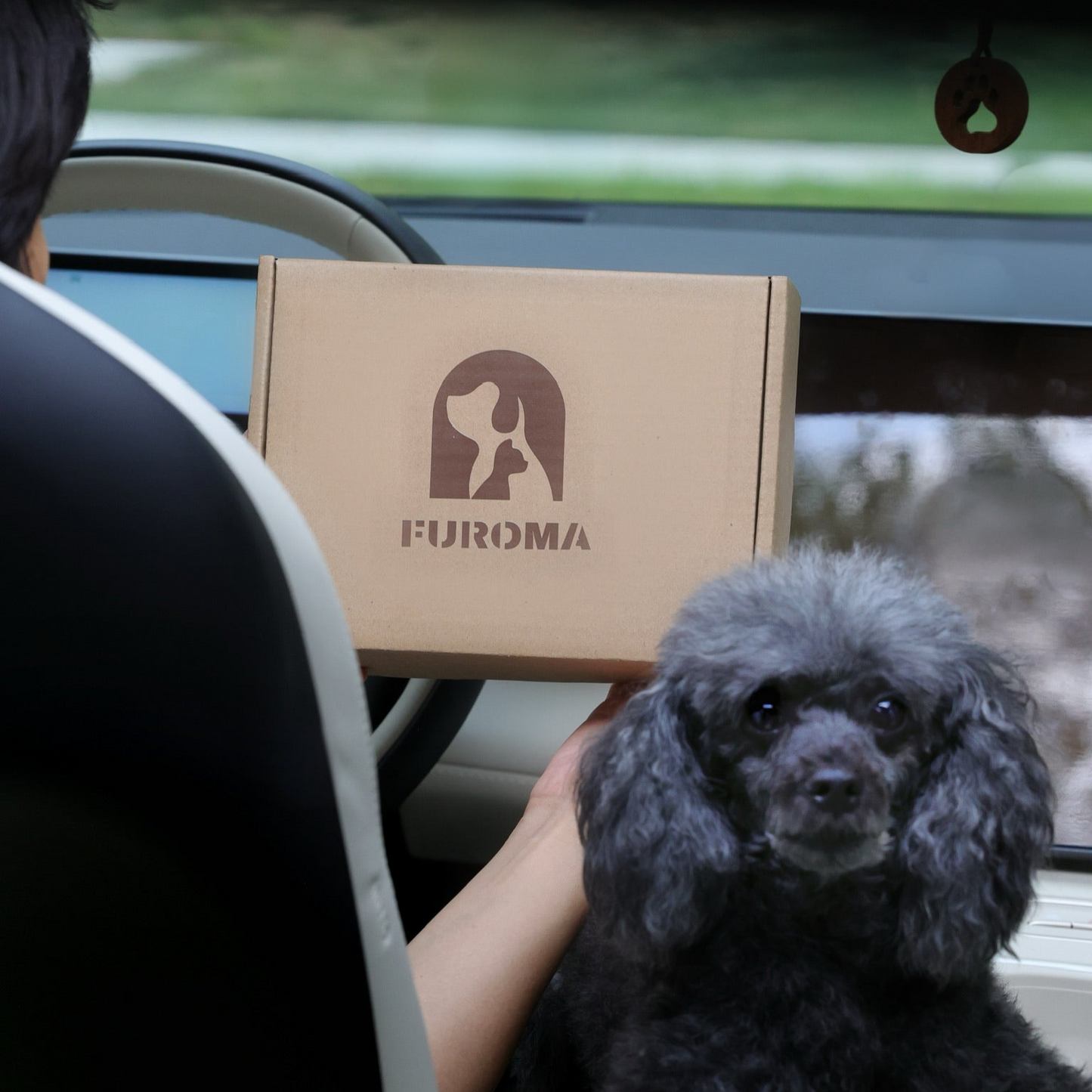 "Cat" Car Wood Diffuser