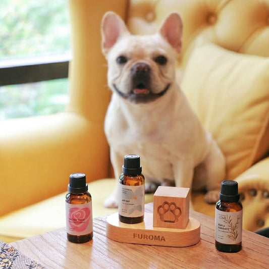 Essential Oil Discovery Set
