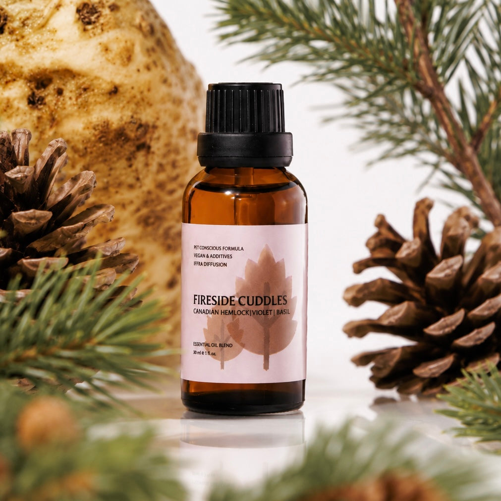 Bottle of 'Fireside Cuddles' essential oil with pinecones and branches on a reflective surface.