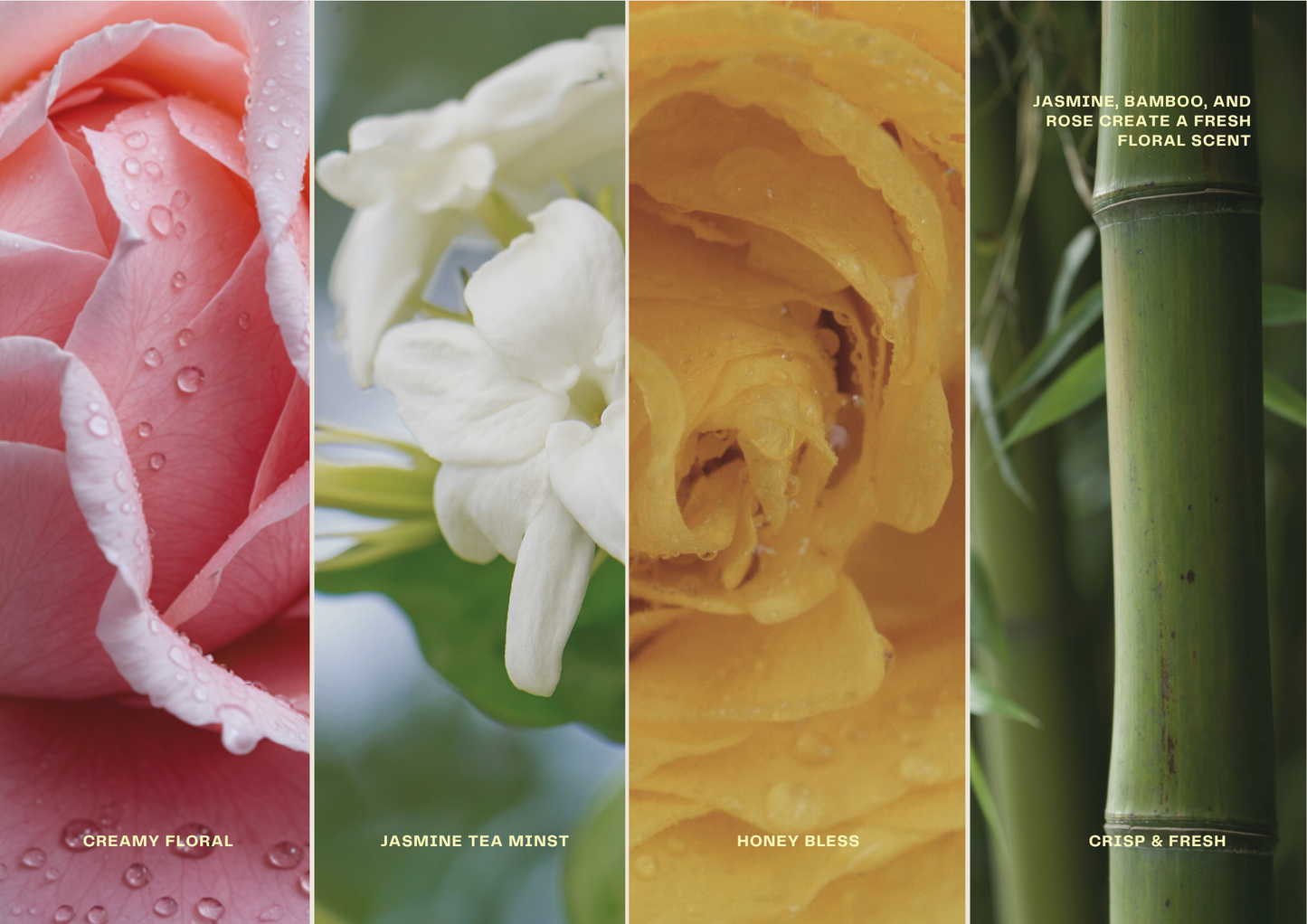 Lap Nap | Jasmine Bamboo Reed Diffuser