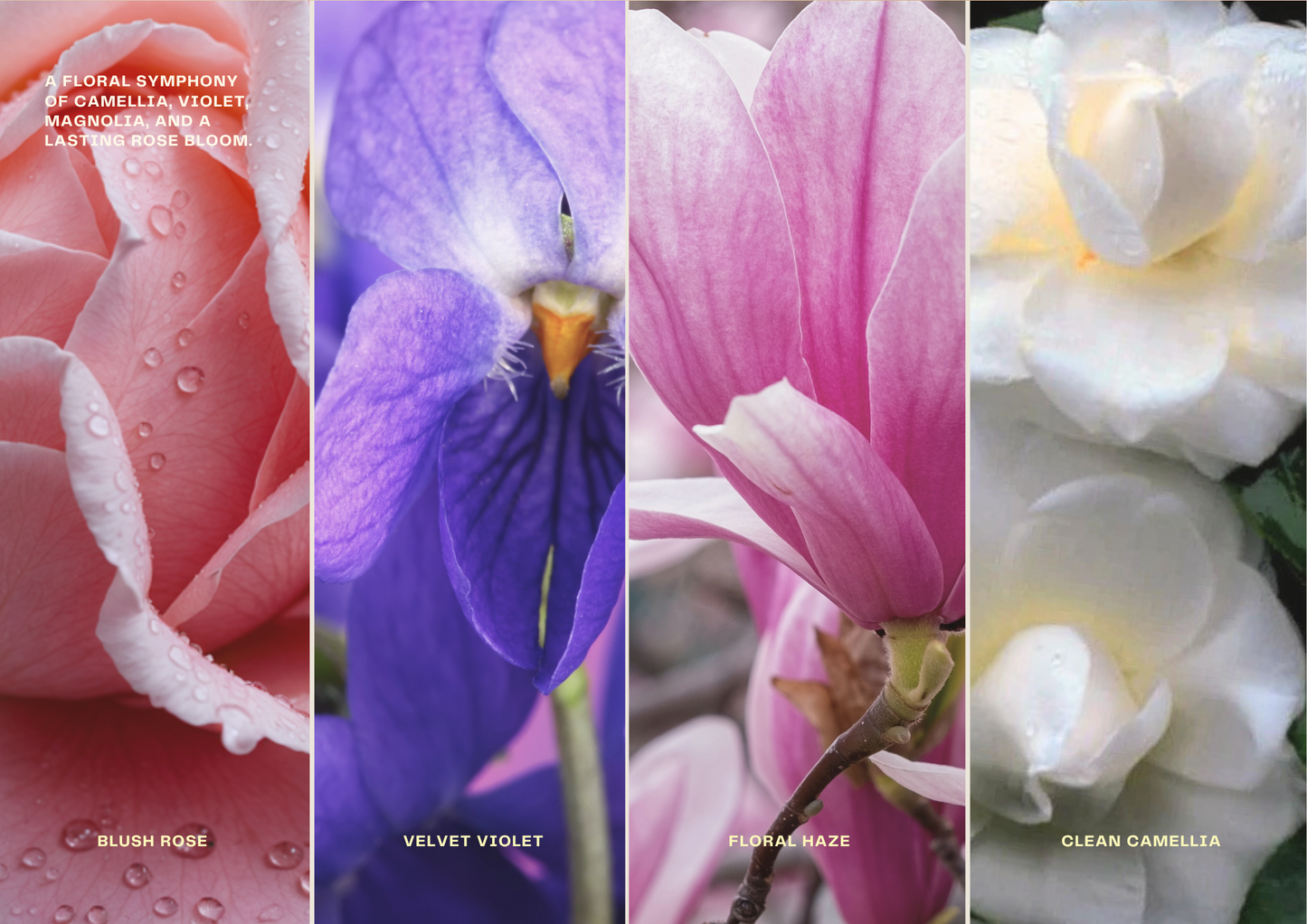 Wagging Tails | Rose Violet Reed Diffuser