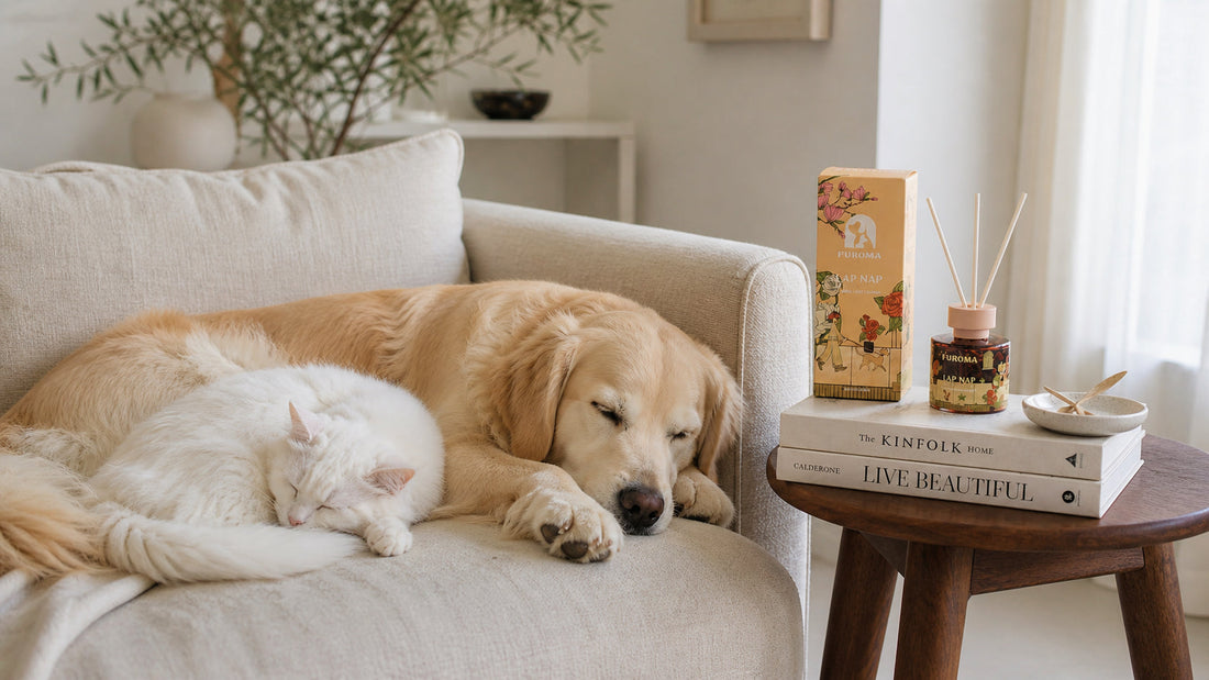 Essential Oils Safe for Cats AND Dogs: Multi-Pet Guide (2026)