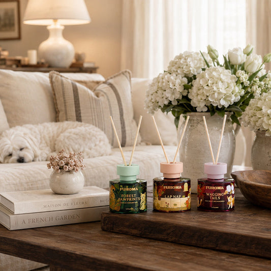 FUROMA pet-safe reed diffuser bundle with dog - buying guide for multi-pet homes, 2026