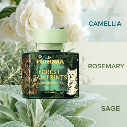 Forest Pawprints Reed Diffuser – Camellia & Clary Sage