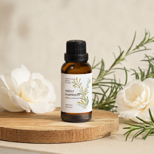 Forest Pawprints Essential Oil – Camellia & Clary Sage