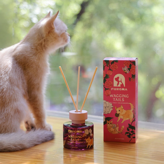 Wagging Tails + Essential Oil