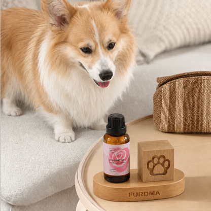 Wagging Tails Home Fragrance Set