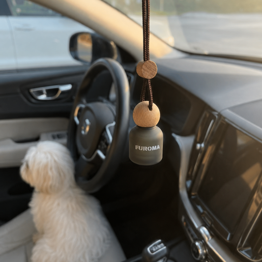 Fireside Cuddles Car Diffuser