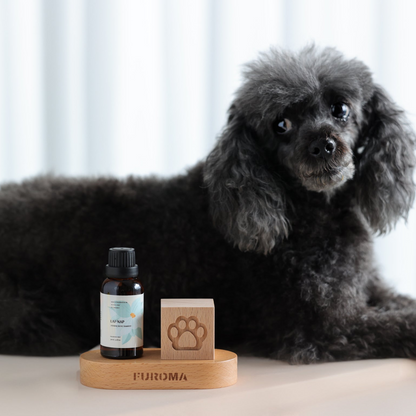 Wood Cube Diffuser & 30ml Oil