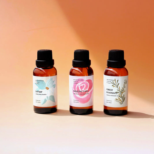 Discovery Sets | Rose Jasmine Rosemary