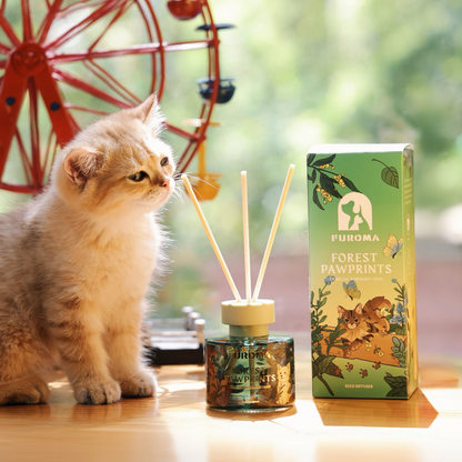 Forest Pawprints | Camellia Rosemary Reed Diffuser