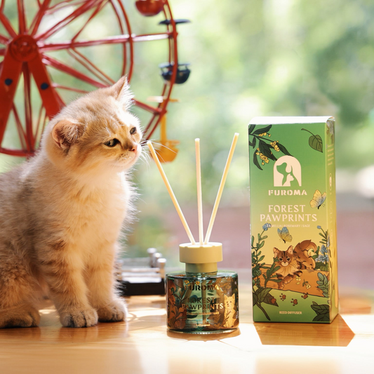 Forest Pawprints | Camellia Rosemary Reed Diffuser
