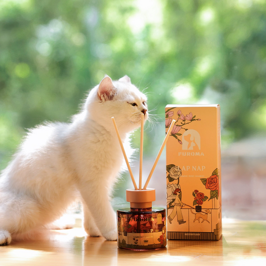 Lap Nap | Jasmine Bamboo Reed Diffuser