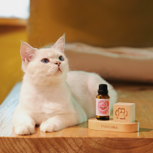 Wood Cube Aromatherapy Set – for Bedroom & Desk