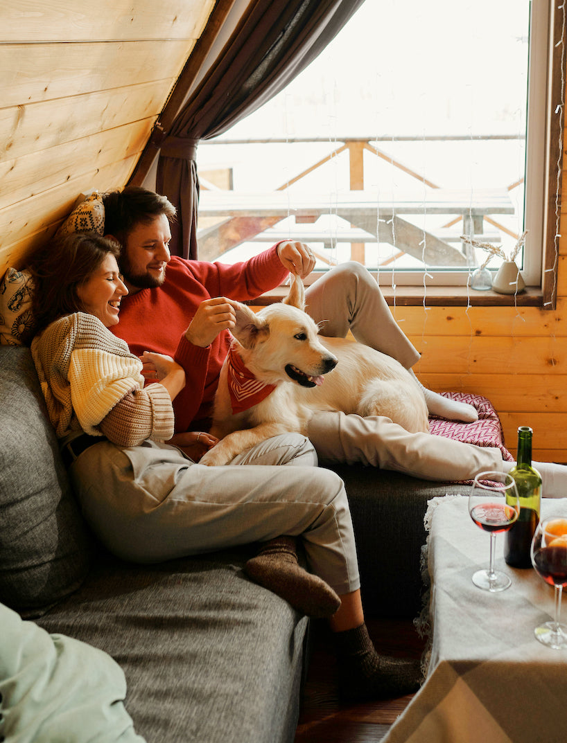 A calm home shared with people and a pet