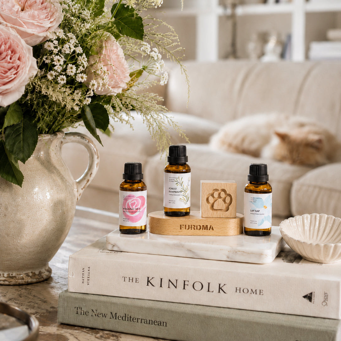 Essential Oil Discovery Set