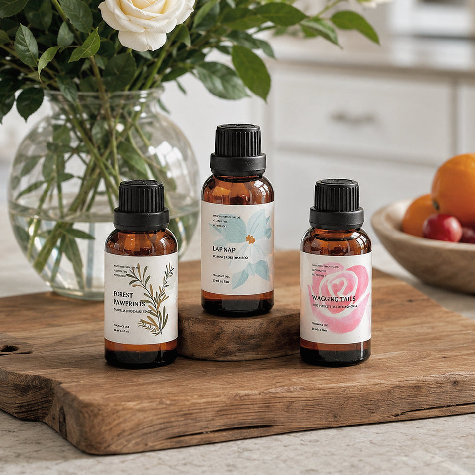 Essential Oil Discovery Set