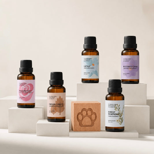 The Essential Oil Scent Library