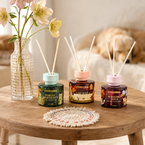 The Complete Reed Diffuser Gift Set