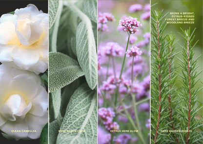 Forest Pawprints | Camellia Rosemary Reed Diffuser